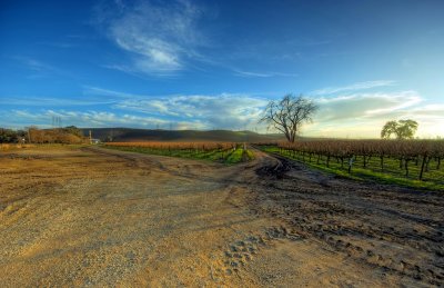 Rural Livermore II