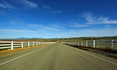 Rural Road with Fences
