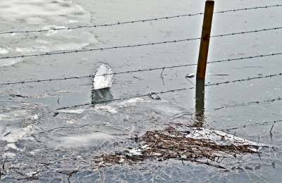 The Fields Flood