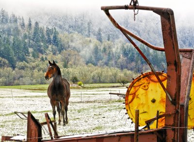 Farm Implements