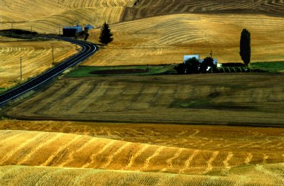 Harvest Road