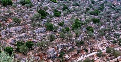 Terracing