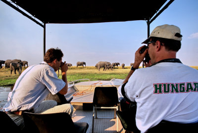 Elephant Pictures from the Boat