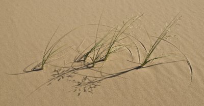 Written by the Wind