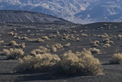 Ubehebe Plains