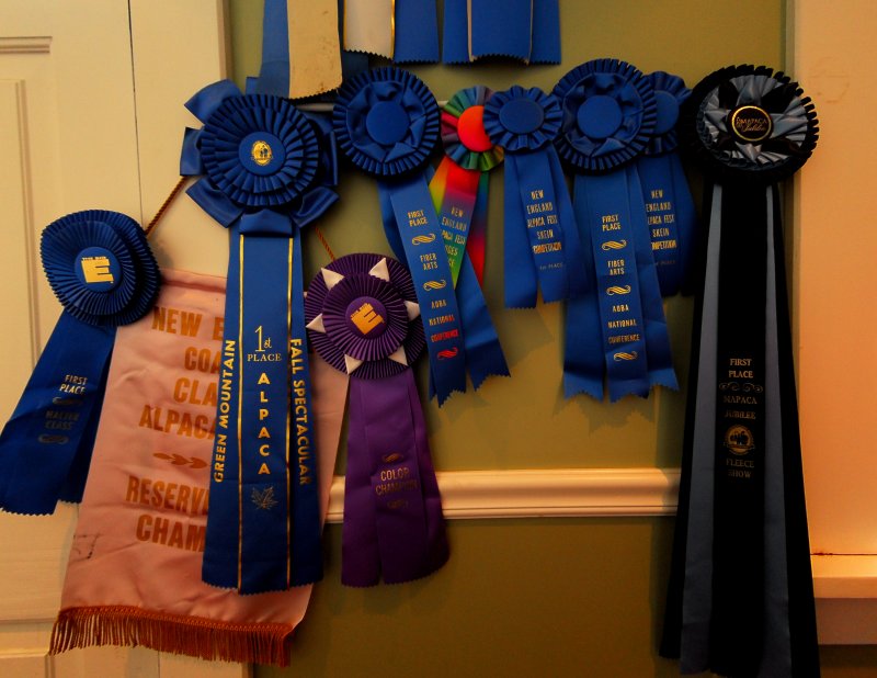 First Place
