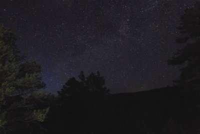Stars III
