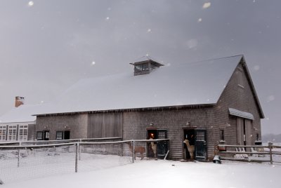 Barn 2