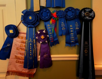 First Place
