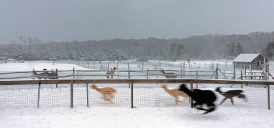 Running 2