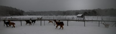 Running 3