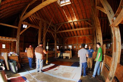 Spring Shearing Time 2