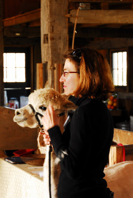 Spring Shearing Time 20