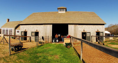 Spring Shearing Time 3