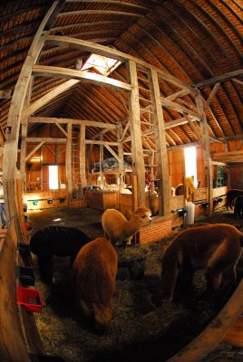 The Barn 1