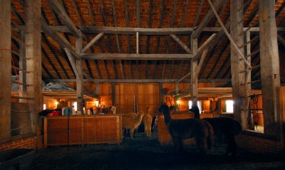 The Barn 6