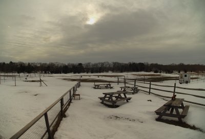 The Barn Yard 1