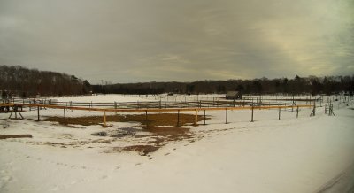 The Barn Yard