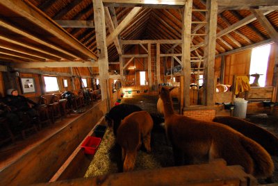 The Barn