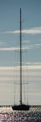 Martha's Vineyard