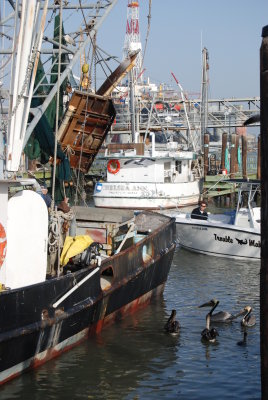GALVESTON