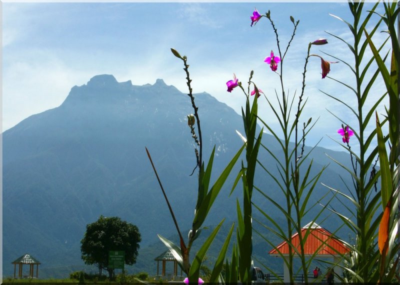 Mount Kinabalu