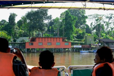 Orang Utan Island