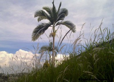 RaubSky from Bukit Mahkamah