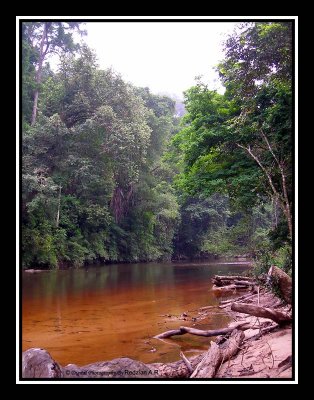Lubuk Simpon - Kuala Tahan National Park