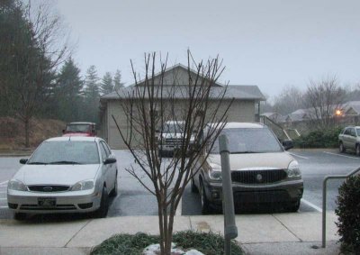 IMG_0327-W (12-25, 8.04a.m.).jpg