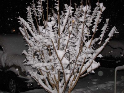 IMG_0351-W (12-25, 8.46p.m.).jpg