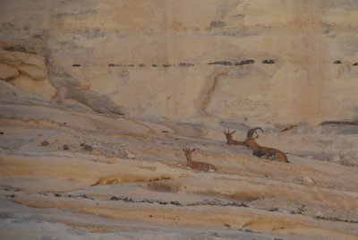 20100923_2061.JPG