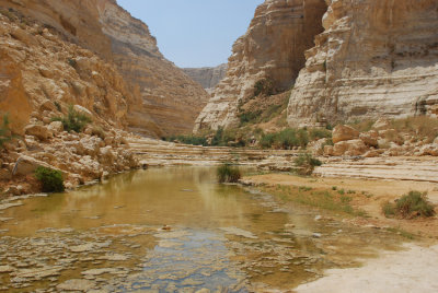 20100923_2063.JPG