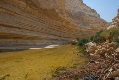 20100923_2065.JPG