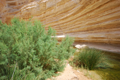 20100923_2084.JPG