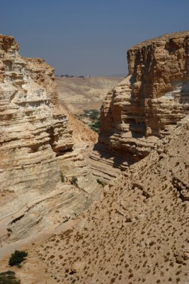20100923_2100.JPG