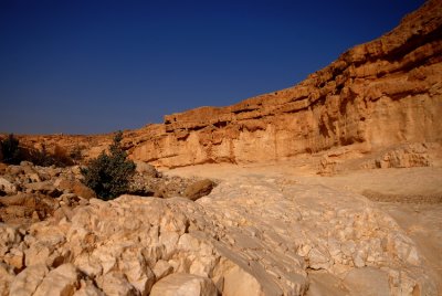 DSC_3467.JPG