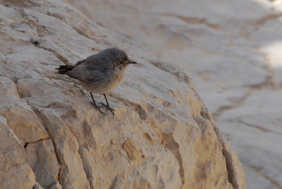 DSC_3527.JPG