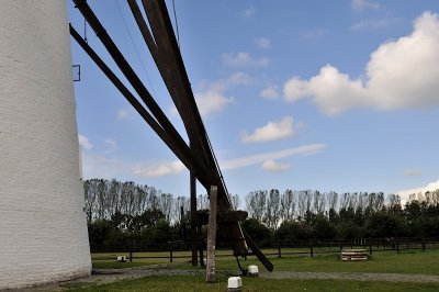 20121014-033a.JPG
