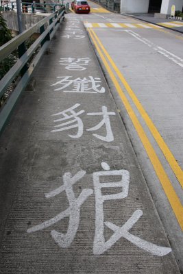 _D2N8979.JPG