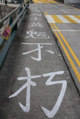 _D2N8980.JPG