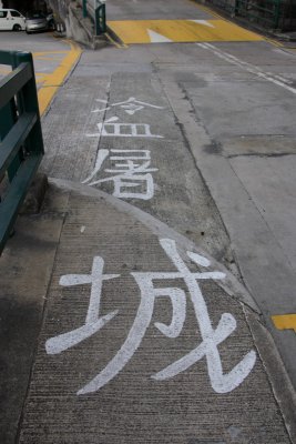 _D2N8981.JPG