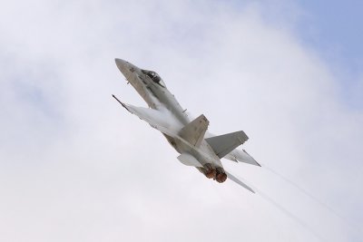 g1/82/193082/3/129772722.EaIkU8p3.jpg