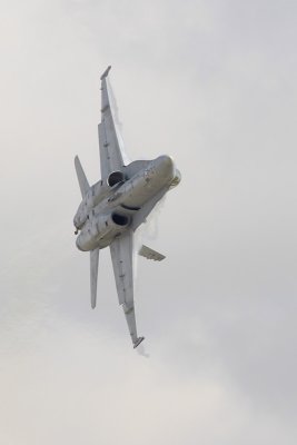 g1/82/193082/3/129772726.M0MmYM01.jpg