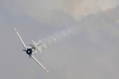 g1/82/193082/3/129772766.Dl9jJ2S4.jpg