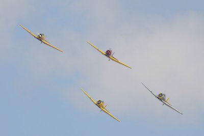 g1/82/193082/3/129793986.T8XgrKPr.jpg