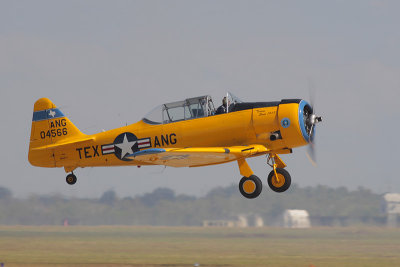 g1/82/193082/3/129828980.oHOPTHDO.jpg