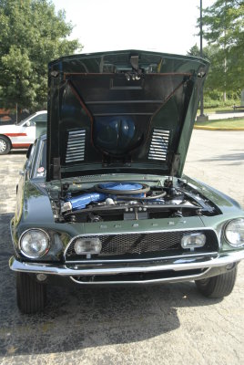 shelbypittsburgh2009-08-07_71.JPG