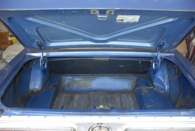 trunk