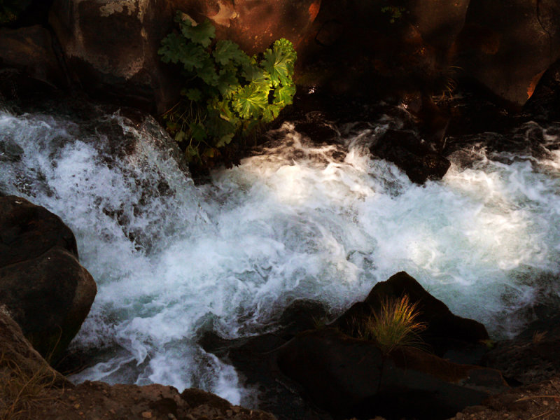 Upper Falls, McCloud River, California, 2008
